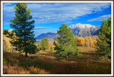 Cascade Meadows fall scene