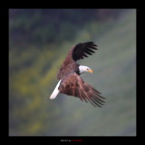 IMG_2709.jpg