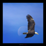 IMG_3633.jpg