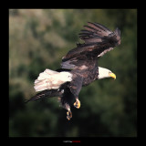 IMG_5709.jpg