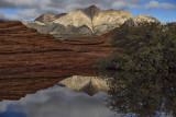 Reflections in a Pool - Petrified Sand Dunes -  Snow Canyon State Park, Utah