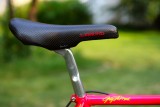 team_z_lemond