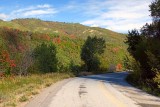 IMG_7992.jpg