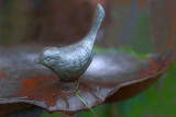 Frozen Bird Bath