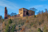 Limburg Abbey Ruin