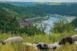 Upper Middle Rhine Valley