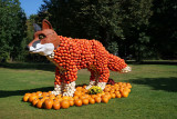 The Fox