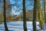 Frozen Pond