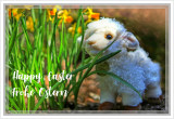 Easter