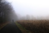Cold Walk in the Fog
