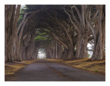 San Francisco Bay Area
