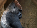 610_OM1B0776.JPG