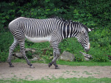 658_OM1B0968.JPG