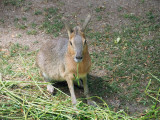 673_OM1B1020.JPG