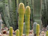 114_PC310656.JPG