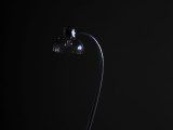 0128_PB050460.JPG