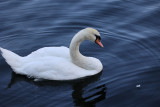 RF069765.JPG