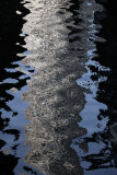 0365_RF060216.JPG
