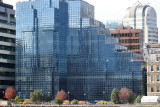 0785_RF061408.JPG