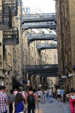0851_RF061484.JPG