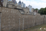 0893_RF061532.JPG