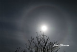 Sun Halo 