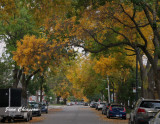 Promenade en automne dans ma ville à Québec 2020 / Fall walk in Quebec city 2020