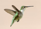 Female In Flight Mode