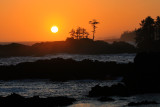 Wild Pacific Trail - Ucluelet