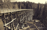 Kinsol Trestle and Area
