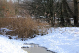 IMG_8382.JPG