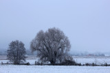 IMG_8442.JPG