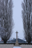 IMG_8445.JPG