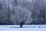 IMG_8457.JPG