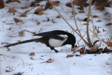 IMG_8480.JPG