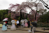 IMG_8247.JPG