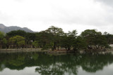 IMG_8254.JPG