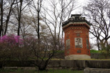 IMG_8265.JPG