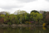 IMG_8372.JPG