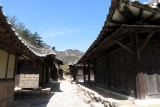 IMG_8597.JPG
