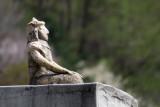 IMG_8620.JPG
