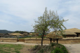 IMG_8731.JPG