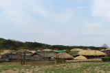 IMG_8733.JPG