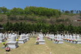 IMG_8797.JPG