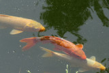Anapji Park