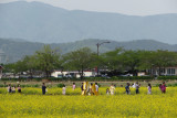 Observatory Park