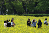 Observatory Park