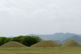 Observatory Park