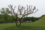 Tumuli Park