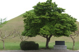 Tumuli Park